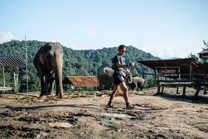 BIB: 
                            <button type="button" onclick="openModal(22422931)" class="btn btn-primary btn-sm float-right btn-popup" data-toggle="modal" data-target=".modal-high-quality">
                        <i class="fas fa-shopping-cart"></i> Add to Cart
                    </button>
                                            <button type="button" onclick="isThisMe(22422931, true)" class="btn btn-success btn-sm float-right btn-popup btn-isme hidden" data-toggle="tooltip" data-placement="bottom" title="นี่คือรูปของคุณใช่ไหม คลิกที่นี่เพื่อเอาเข้าอัลบั้ม">
                        <i class="fas fa-plus"></i> Add to album
                    </button>
                    <button type="button" onclick="isThisMe(22422931, false)" class="btn btn-warning btn-sm float-right btn-popup btn-isnotme hidden">
                        <i class="fas fa-ban"></i> Remove from album
                    </button>